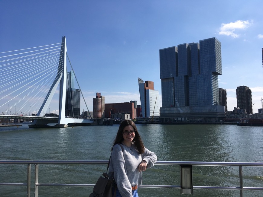 Moda Rotterdam