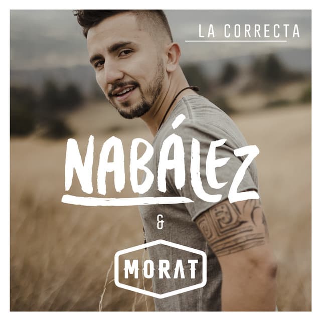 Canción La Correcta