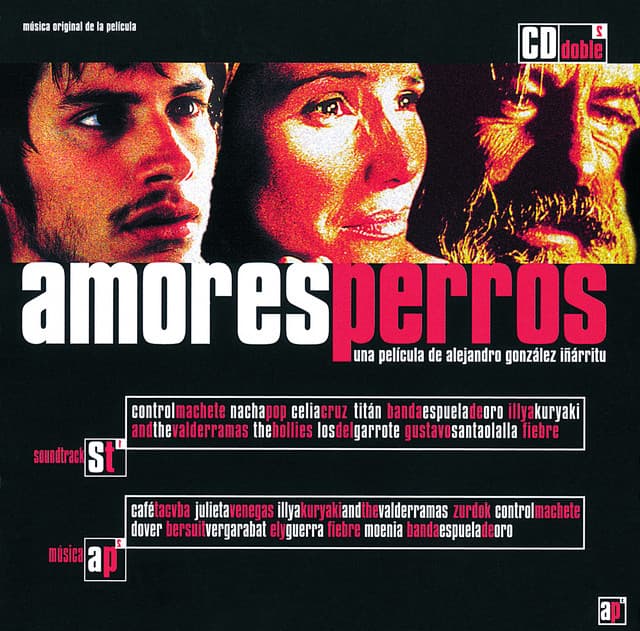 Canción Amores Perros