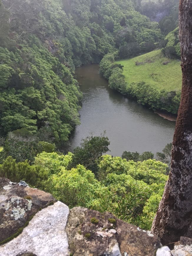 Lugar Ilha das Flores