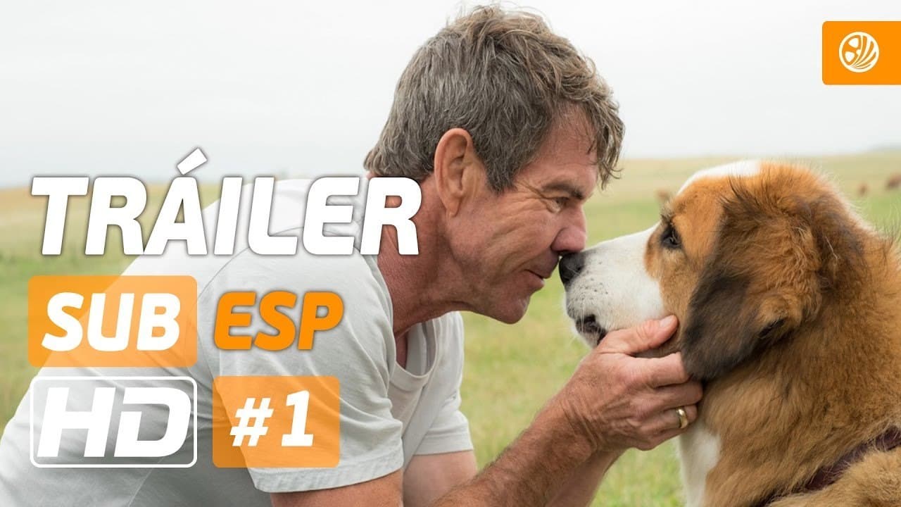 Película A Dog's Purpose