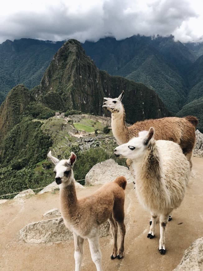 Place Machu Picchu