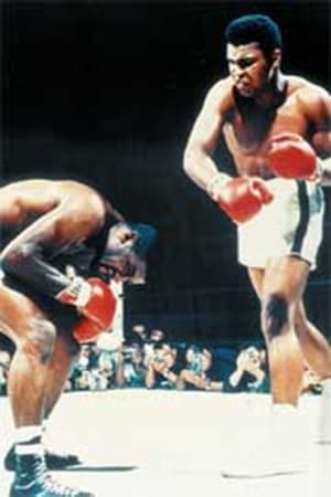 Serie Historia del Boxeo