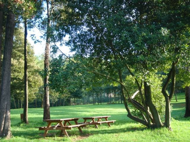 Place Municipal Lavandeira Park