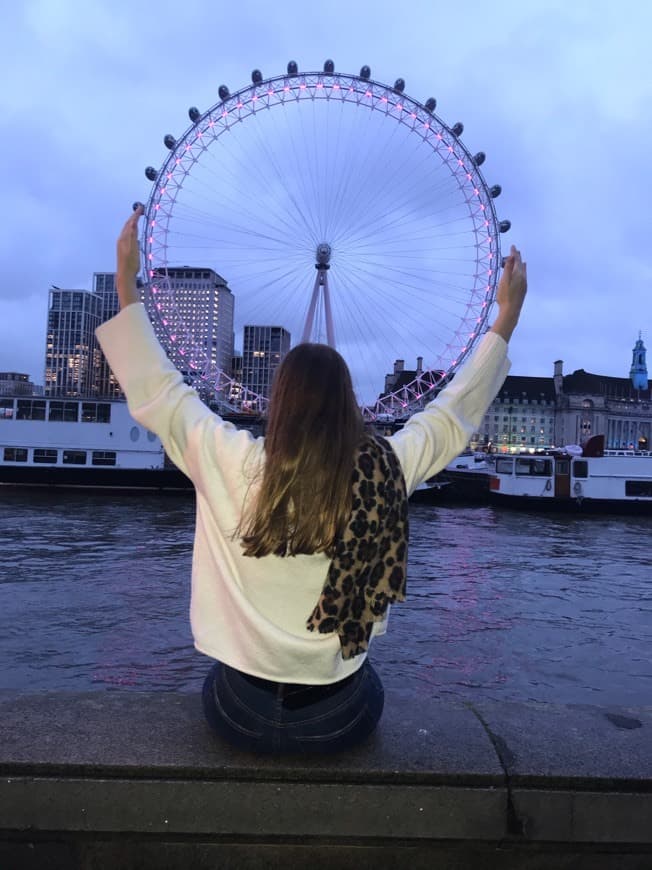 Place London Eye