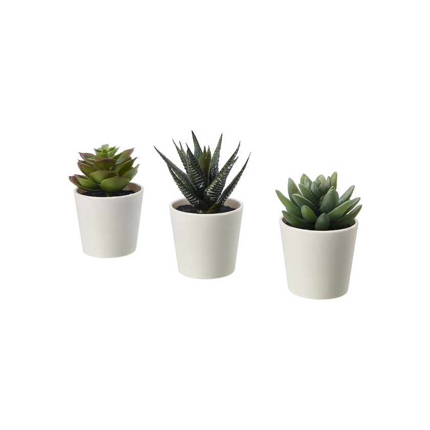 Product Minis cactos do ikea