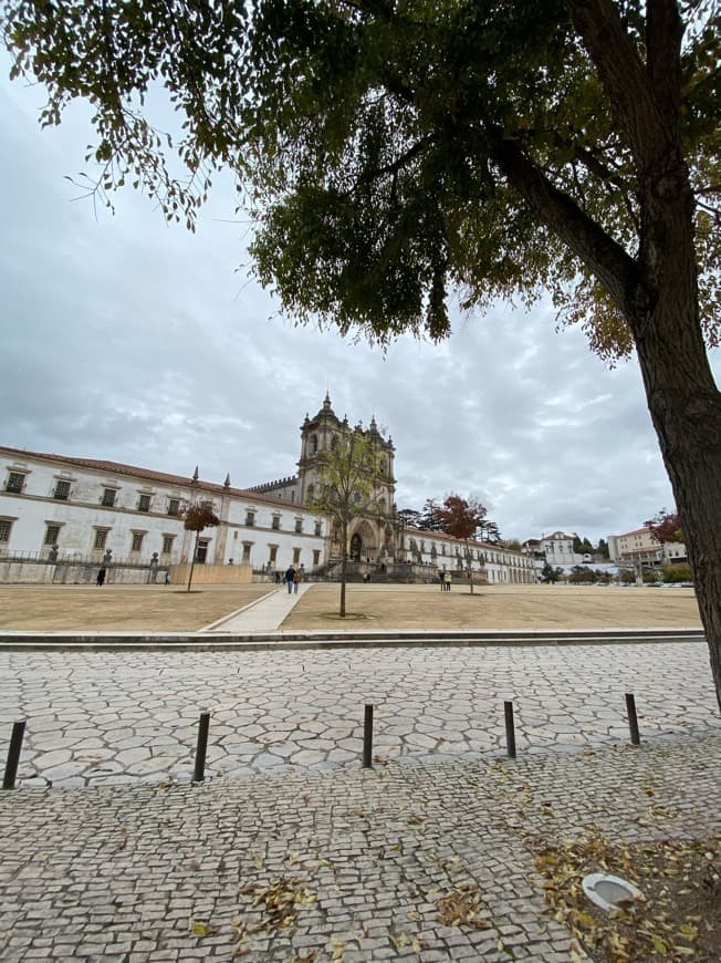 Place Monasterio de Alcobaça