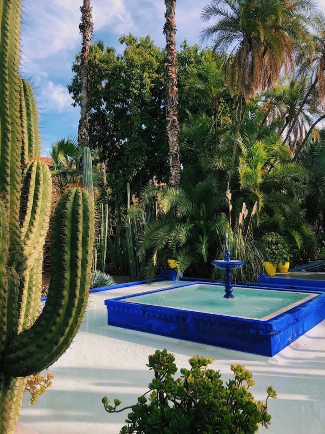 Place Jardín Majorelle