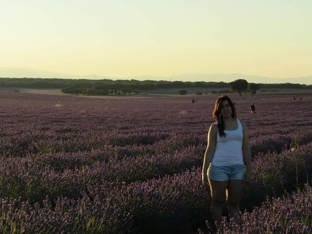 Lugar Campos De Lavanda