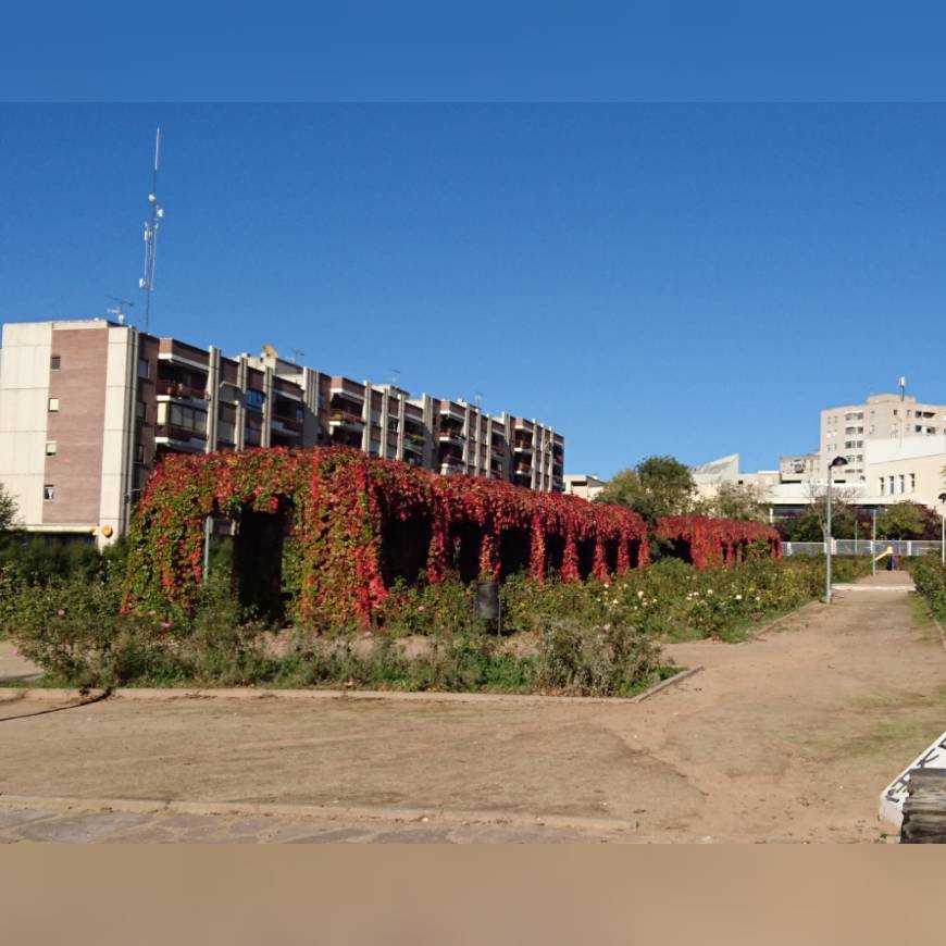 Lugar Rosaleda de la Avenida del Ejército en Guadalajara