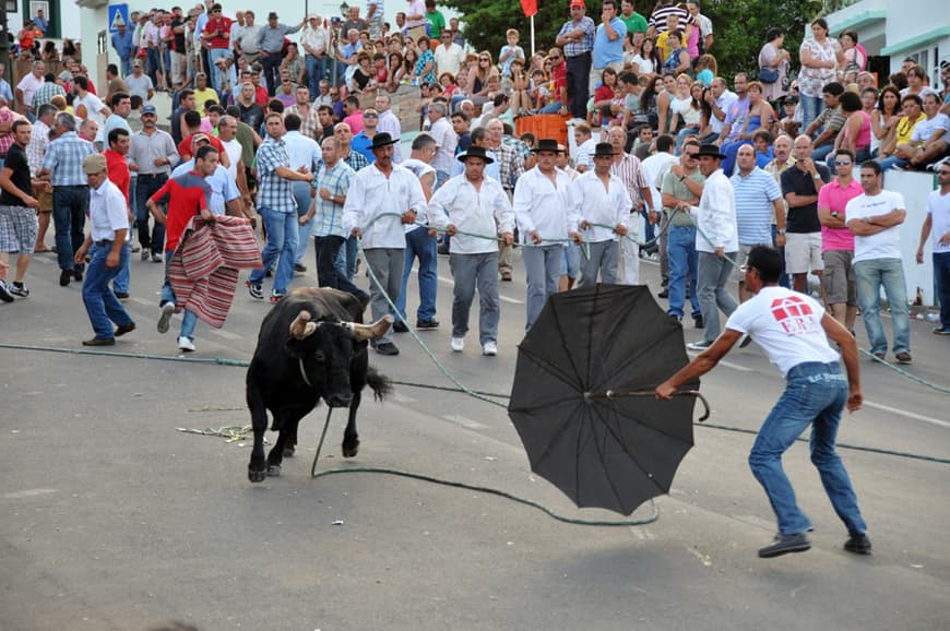 Moda Touradas à corda