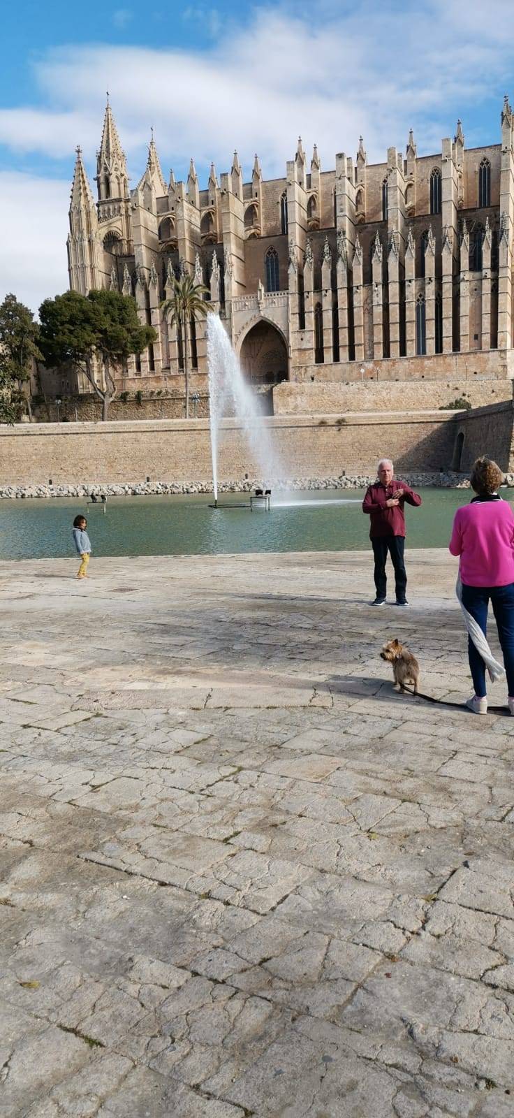 Lugar Catedral-Basílica de Santa María de Mallorca