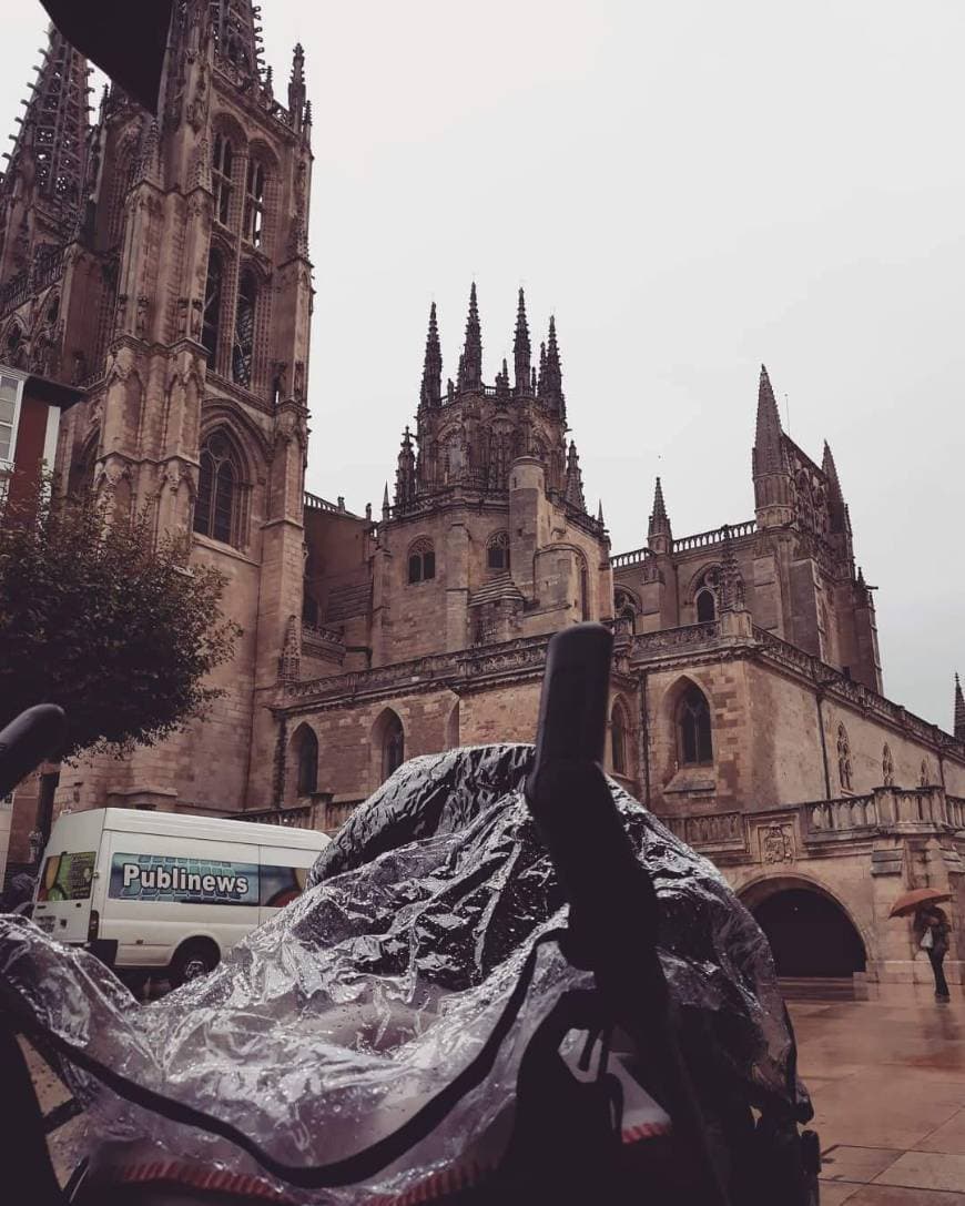 Place Catedral de Burgos