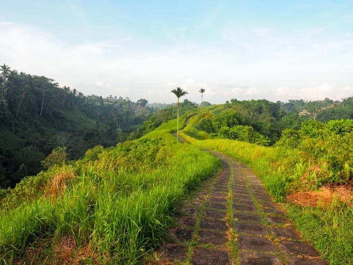 Place Campuhan Ridge Walk