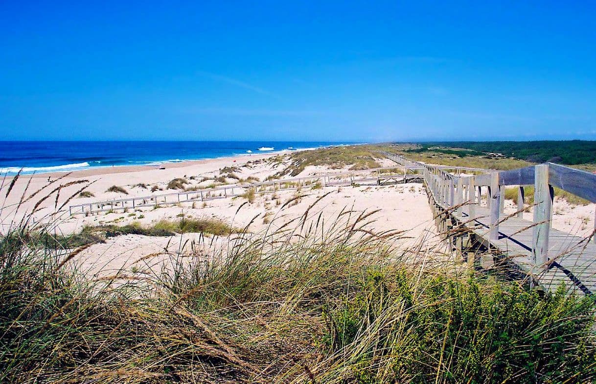 Lugar Praia da Tocha