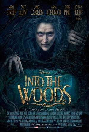 Movie Into the Woods