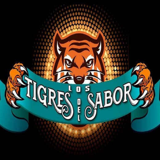 Canción Mix Tigres 01