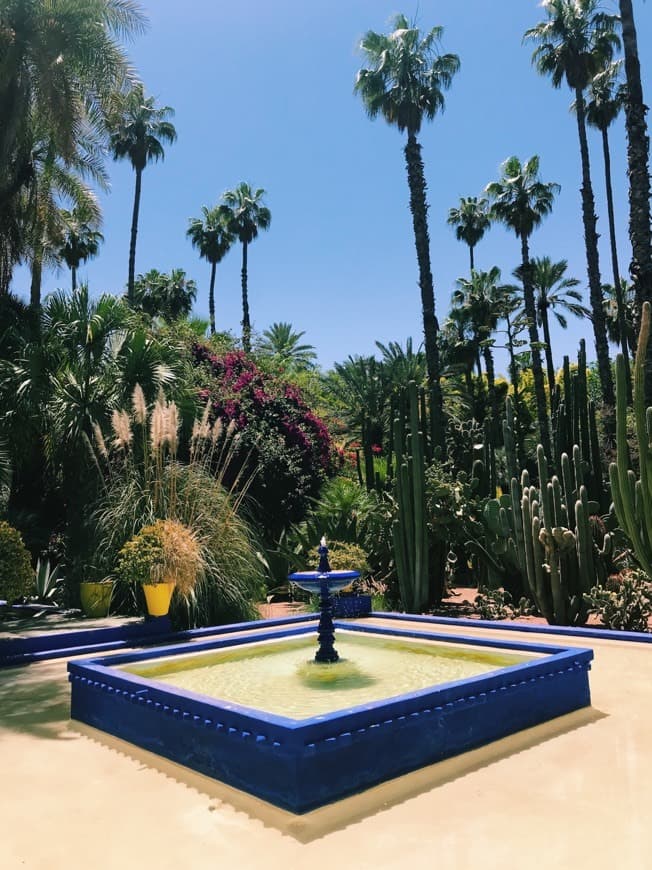 Place Jardín Majorelle