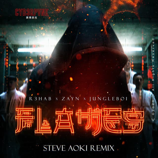 Canción Flames (with ZAYN) (feat. Jungleboi) - Steve Aoki Remix