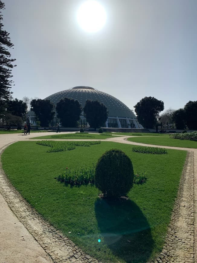 Lugar Jardins do Palácio de Cristal