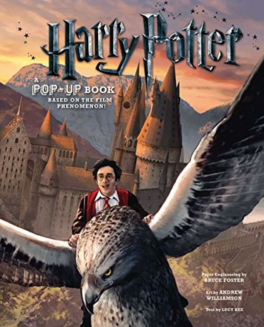 Libro Harry Potter