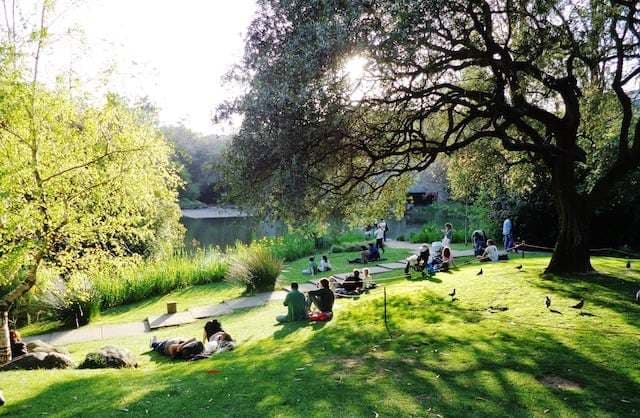 Place Parque Gulbenkian