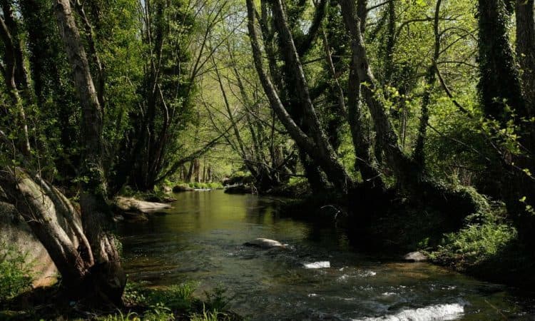 Place Parque Natural da Serra de São Mamede