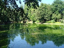 Place Parque da Ponte 