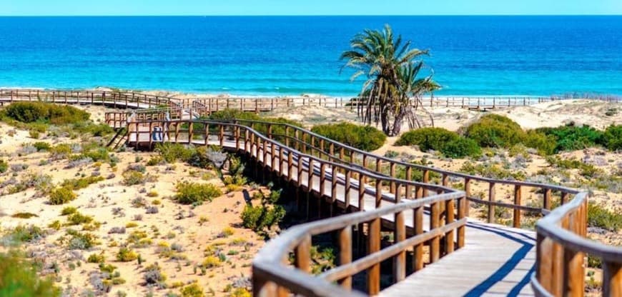 Place Playa de Carabassí