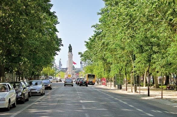 Lugar Avenida da Liberdade