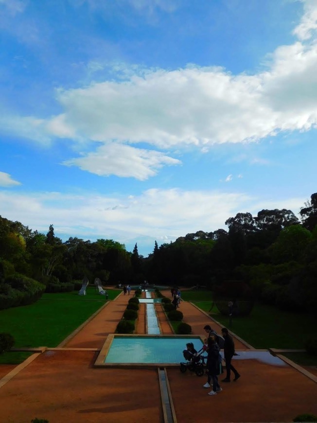 Place Fundação Serralves 