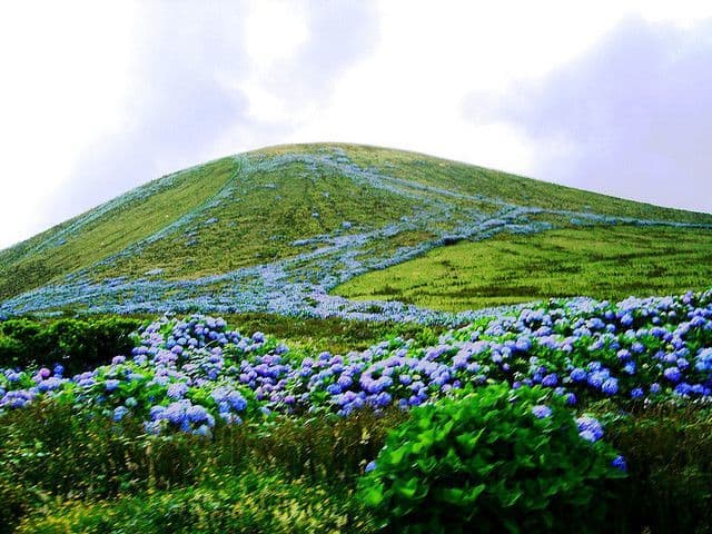 Lugar Ilha das Flores