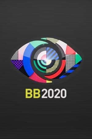 Serie Big Brother