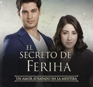 Serie Adini Feriha Koydum