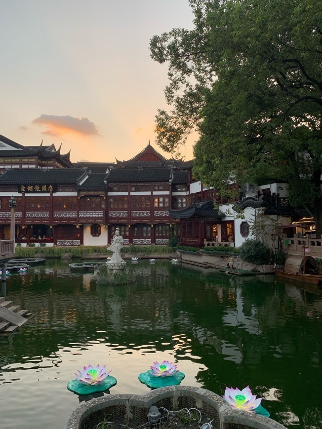 Place Yuyuan Garden