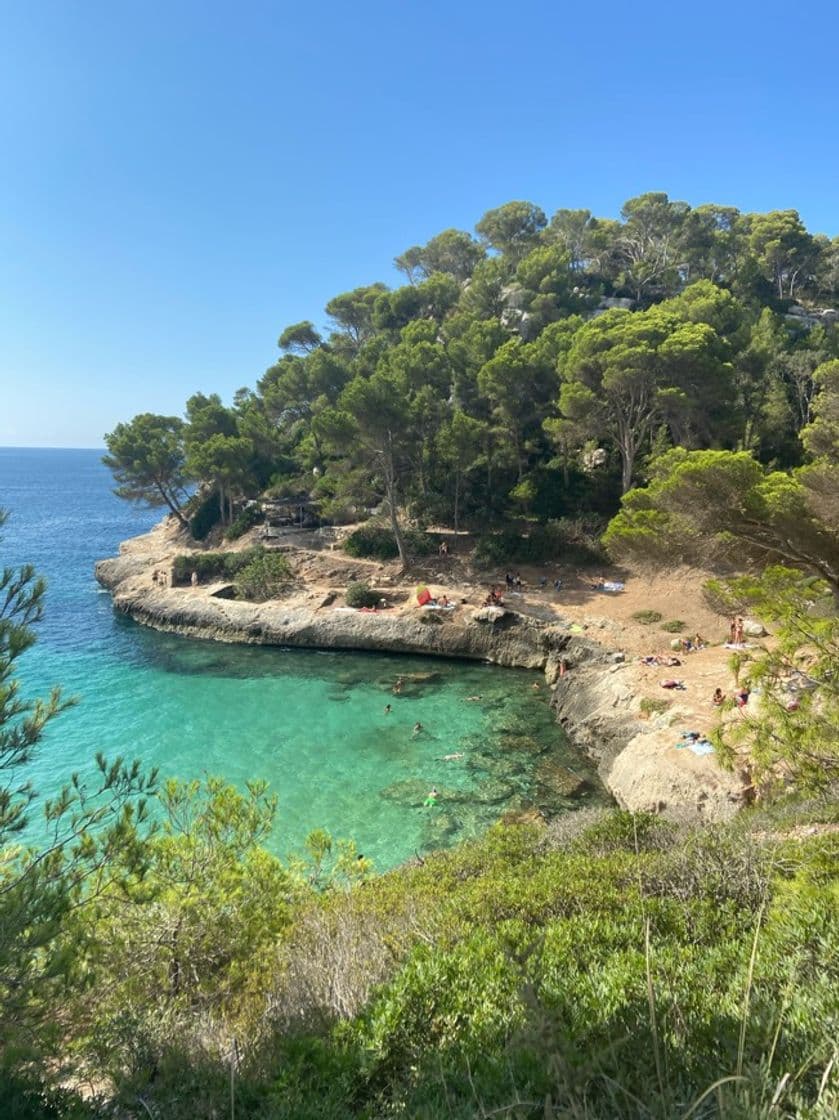 Place Cala Mitjaneta