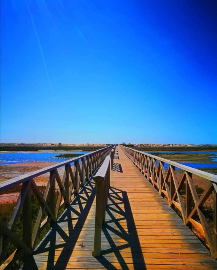 Place Praia da Quinta do Lago