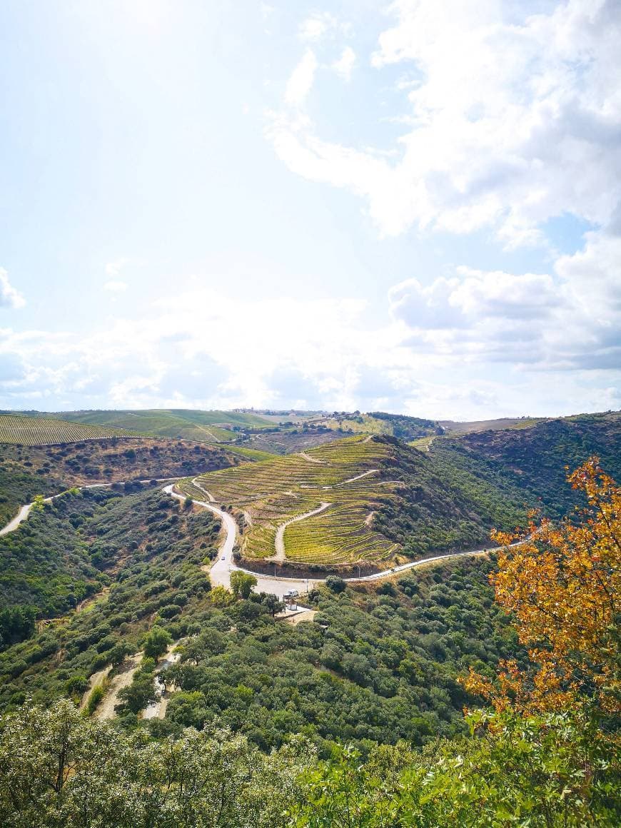 Lugar Miradouro de São Salvador do Mundo