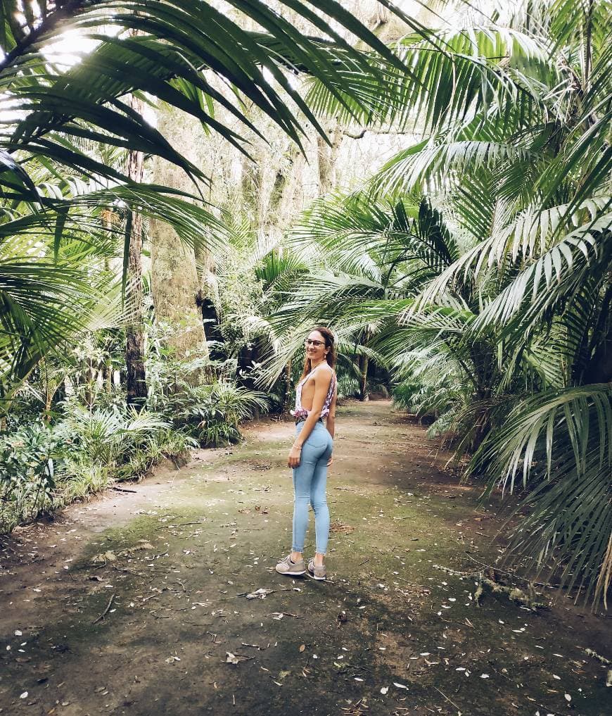 Fashion Parque Terra Nostra 🏞️