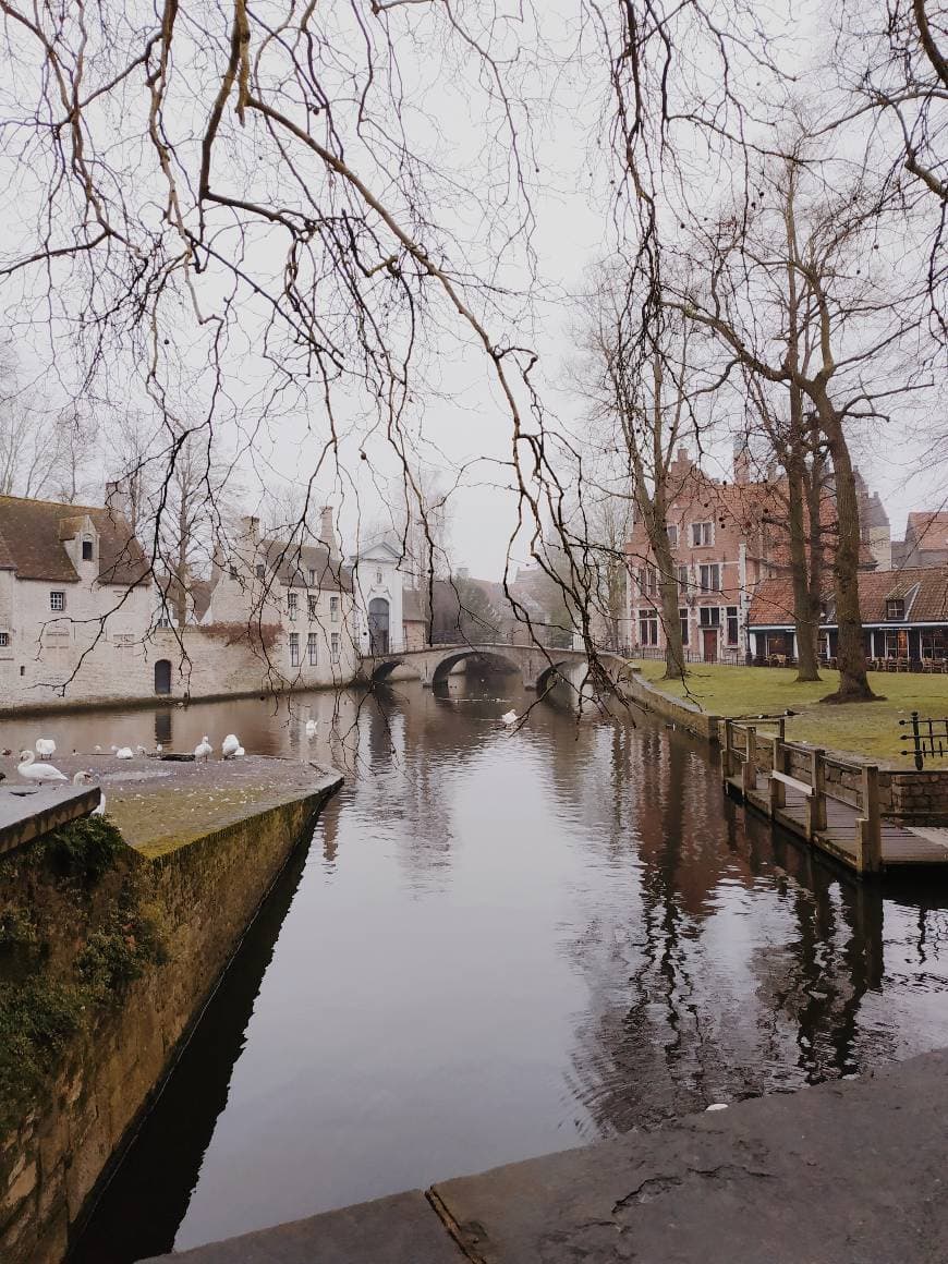 Fashion Bruges 💙