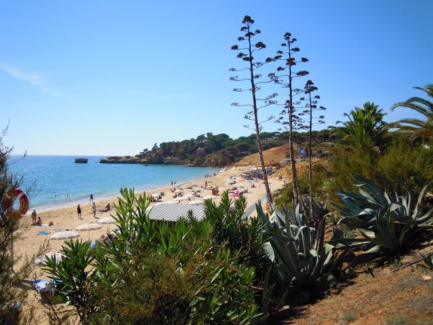 Lugar Praia Santa Eulália