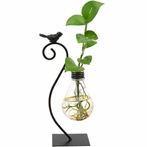 Product Maceta Decorativa Cristal Sobremesa Jarrón Plantas Hidroponicas Bombilla con Diseño de Ave