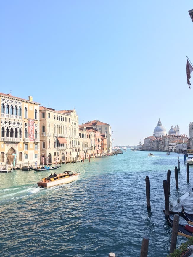 Place Gran Canal de Venecia