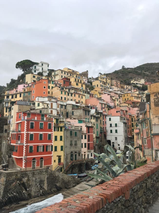 Place Riomaggiore