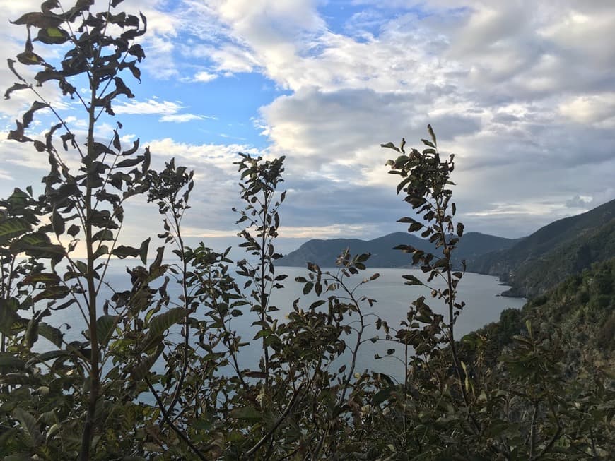 Restaurants Corniglia