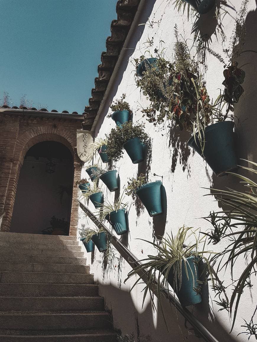 Place Mercado Zoco, Córdoba