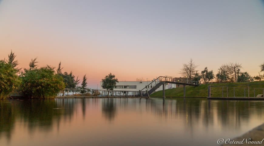 Lugar Jardim do Lago