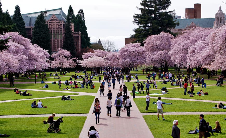 Lugar University of Washington