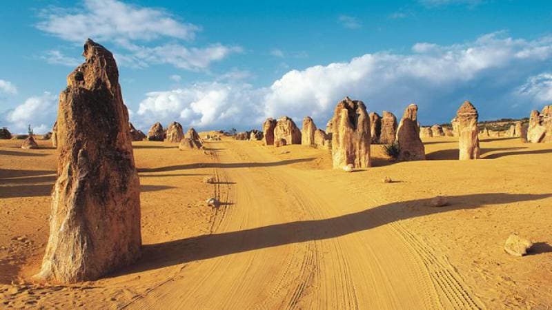 Place The Pinnacles Desert