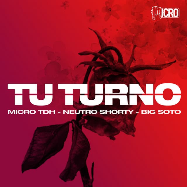 Music Tu Turno